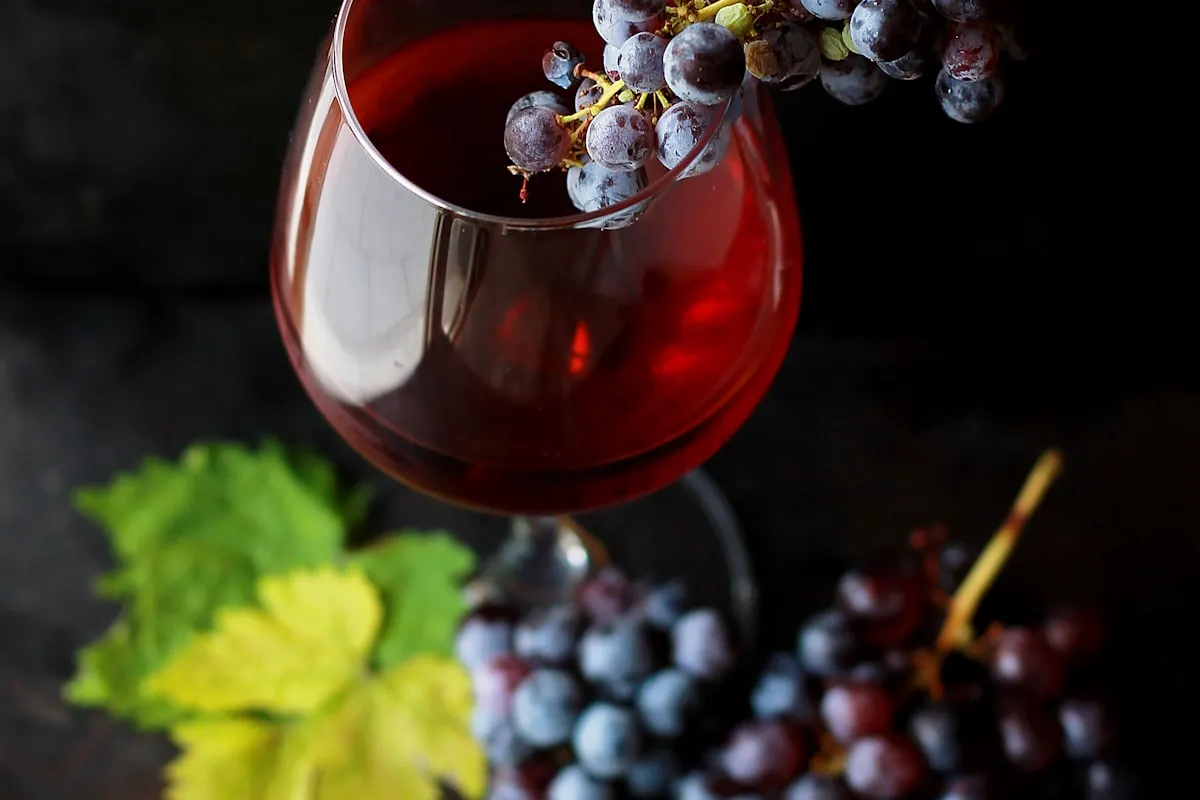 Glasswise vs. U-Label (Scantrust): Koja platforma za E-Labele odgovara vašoj vinariji?