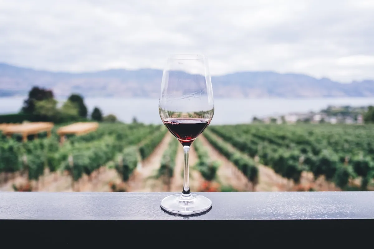 Kako Vinea Wachau upravlja E-Labelima za 100+ vinarija članica s Glasswiseom